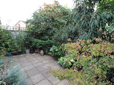 Picture 19